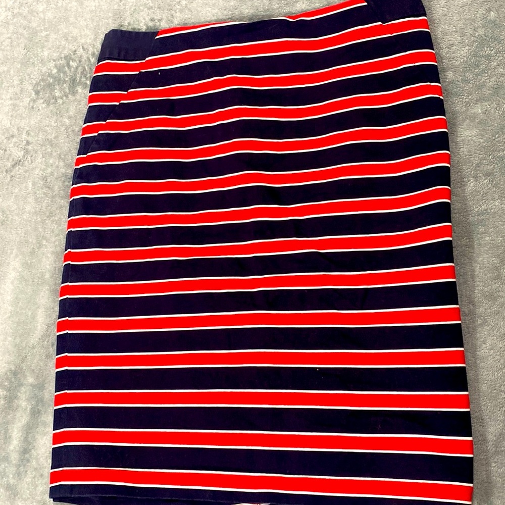 The Limited Striped Skirt size 4, navy with red stripes, outlined by white